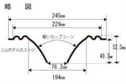 画像1: コーン紙直径194.0ミリ　2山エッジ付きカーブドコーン　Altec 425-8A用　ペア【お取り寄せ商品】